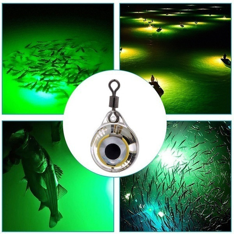 FLYSAND Câu Cá Đèn Đêm Huỳnh Q - đánh giá và giá Fishing Lure Accessories